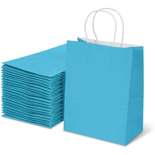 Aakriti Kraft Paper Gift Bags With Handle | 10 X 8 X 3 Inch | Durable & Stylish Gift Packaging | Perfect for Birthdays, Weddings, and Parties | Sky Blue, Pack of 10 - Image 1