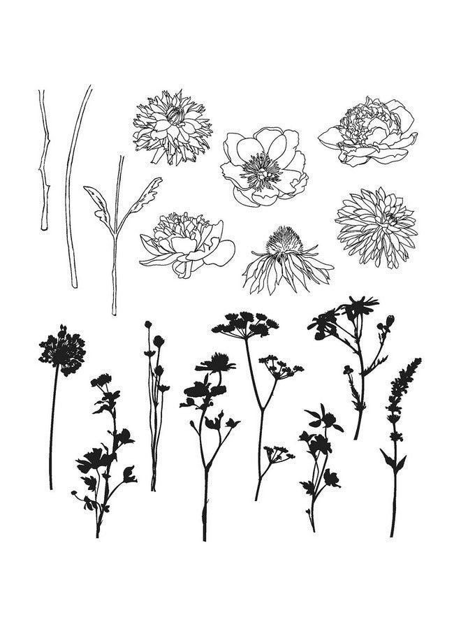 تامبريس أنونمس مجموعة طوابع بوكيه صغيرة 24.6 × 18.9 × 0.5 سم متعددة الألوان - Image 3