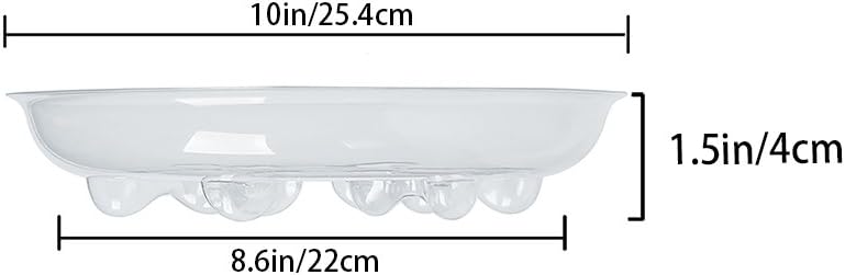 Idyllize Store 5 Pieces of 10 inch Clear Thick Plastic Heavy Duty Sturdy Plant Saucer Drip Trays for pots (10") - Image 2