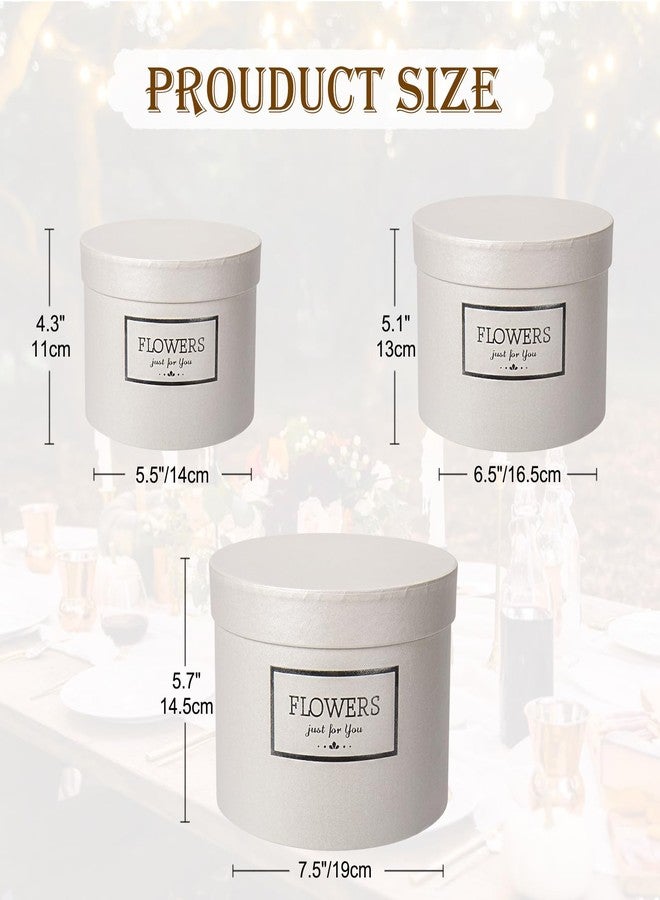 GnFlus White Gift Box Round Gift Boxes with Lids Set of 3 Nesting Gift Boxes for Presents Assorted Sizes Flower Boxes for Arrangements Birthday Wedding Bridesmaid Graduation Christmas Party Gift Bags - Image 2