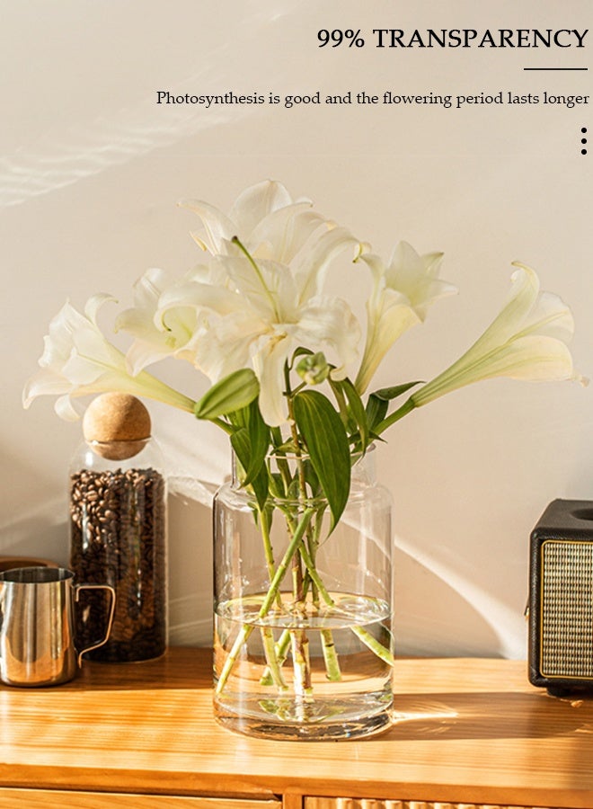 DUNISO مزهرية زجاجية للديكور، مزهريات زخرفية للزهور، مزهريات شفافة جمالية لتزيين غرفة المعيشة، مزهرية زجاجية حديثة شفافة للزراعة المائية لتزيين طاولة الطعام في المنزل - Image 3