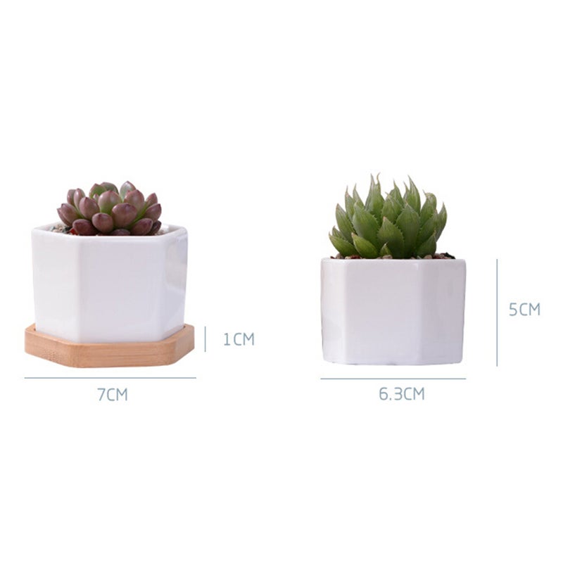 🌱 3 مجموعات من أصص نبات عصاري سداسية صغيرة من السيراميك الأبيض مع صينية من الخيزران - Image 4