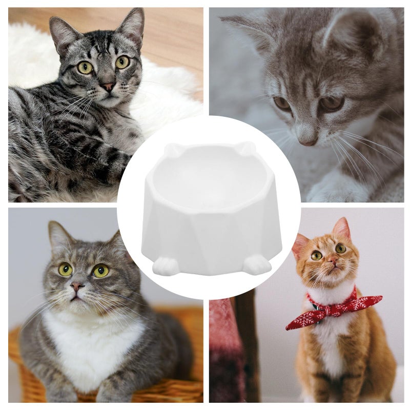 Elevated Ceramic Cat Bowl High Footed Feeder with Anti Spill Design for Indoor Cats White - Image 4