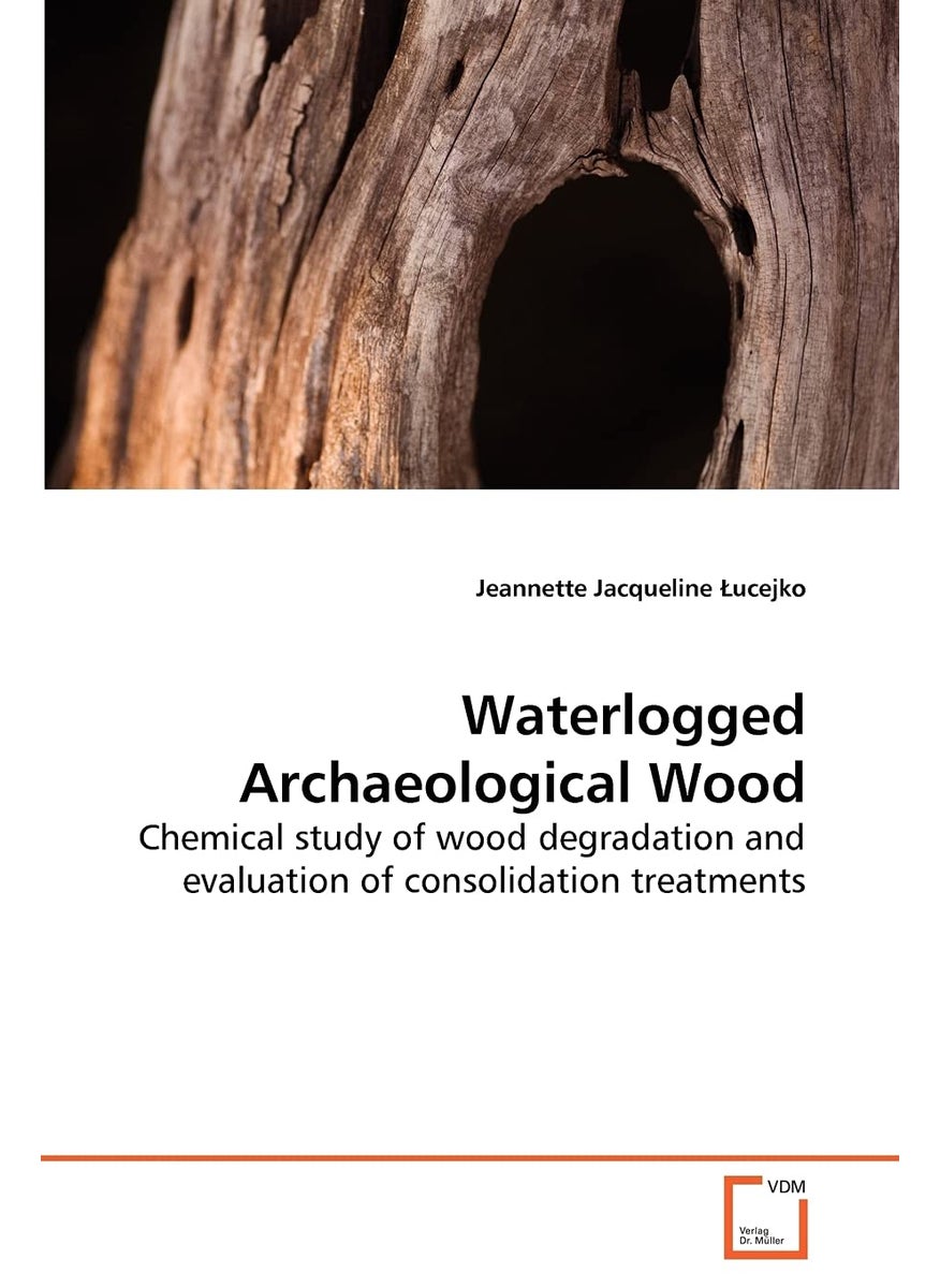Waterlogged Archaeological Wood  - Image 1