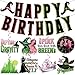 pekeng Movie Birthday Decorations Banner Hanging Swirls Movie Theme Happy Birthday Decorations Party Supplies for Girl Boys - Image 3