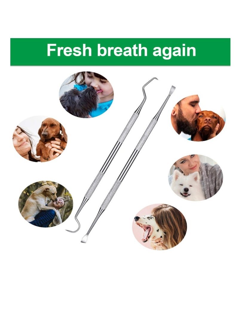 Yakumuz 4 Pieces Pet Tooth Scaler and Scraper Set Yakumuz Stainless Steel Pet Teeth Cleaning Tool Tartar Remover for Dogs Cats - Image 4