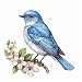 Yoonek Graphics Idaho Mountain Bluebird Bird Syringa Flower Vinyl Decal Sticker for Car Laptop Tumbler More 0084534 - Image 2