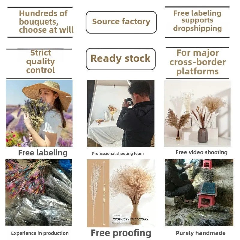 Bluejw G111 Luxury Fluffy Pampas Grass Small Reed Rabbit Tail Dried Plants for Wedding Home Graduation Christmas Halloween Easter Decor - Image 4