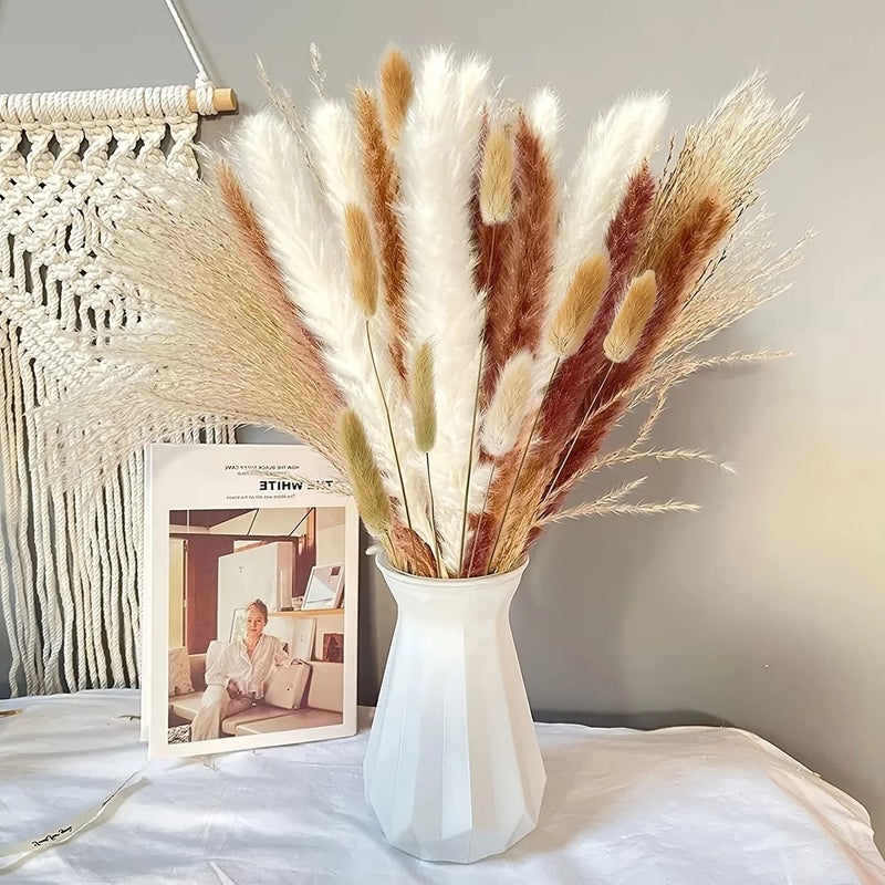 Bluejw G111 Luxury Fluffy Pampas Grass Small Reed Rabbit Tail Dried Plants for Wedding Home Graduation Christmas Halloween Easter Decor - Image 5