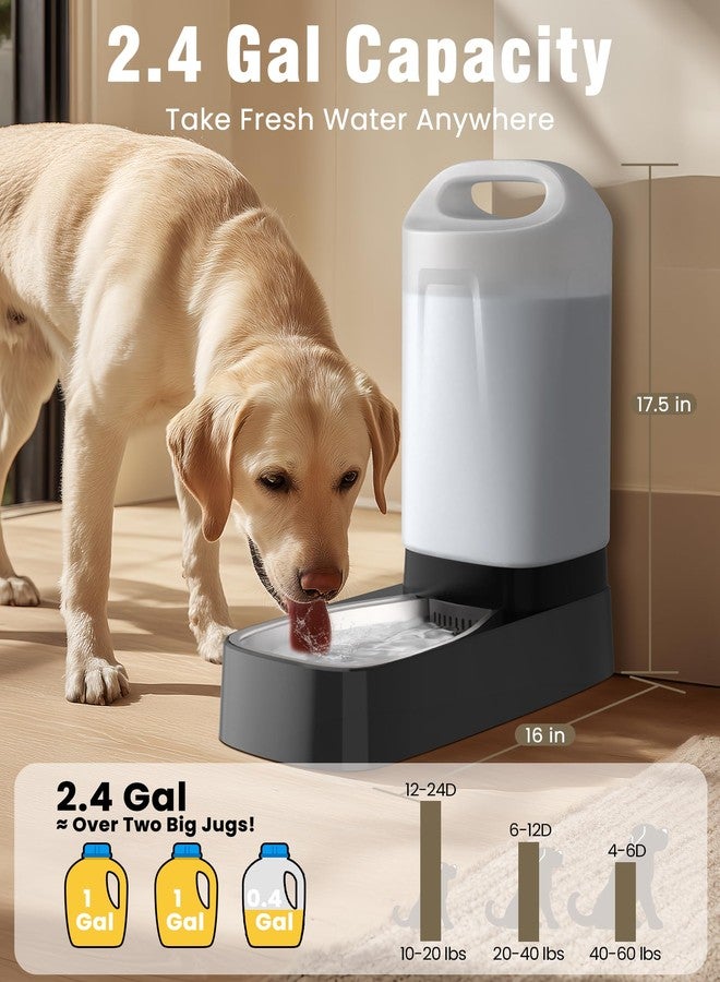 petnf Water Dispenser with Filter - Image 5