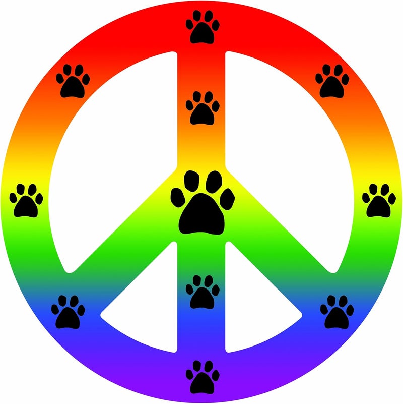 Imagine This Rainbow Peace Car Magnet - Image 1