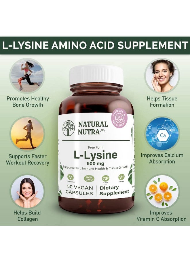 Natural Nutra L Lysine Hcl Promotes Bone Health And Growth Helps Built Collagen Improve Calcium Absorption Alpha Amino Acid Supplement Nongmo Vegan 500 Mg 50 Capsules.  - Image 4
