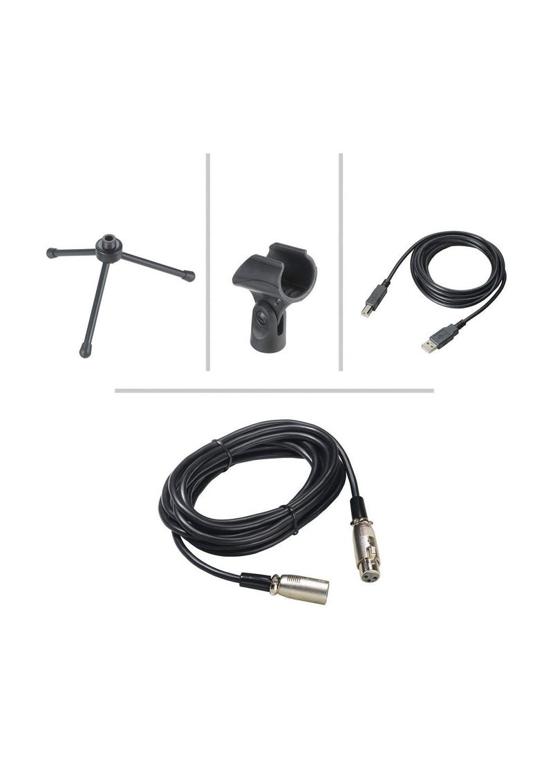 audio-technica Audio-Technica AUD AT2005USB Cardioid Dynamic USB/XLR Microphone  - Image 4