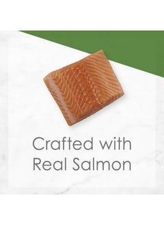 Fancy Feast Gravy Lovers Salmon Feast In Seared Salmon Flavor Gravy Cat Food, 3 Oz, 12 Cans  - Image 5