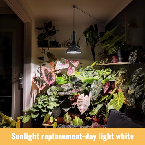 SpeePlant Hanging Grow Lights for Indoor Plants, 25W 5000K, LED Hanging Grow Light Bulbs with Timer, Height Adjustable Hanging Plant Light, Full Spectrum Pendant Grow Light for Seed Starting, Black - Image 3