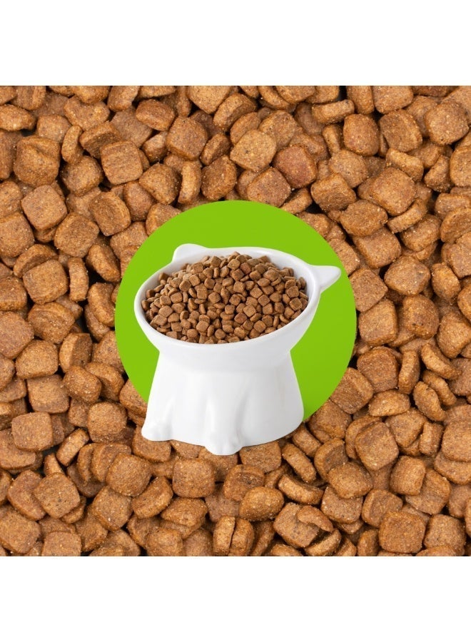 Voskes Adult Complete Cat Food Salmon Flavor 2kg – Premium Dry Cat Food with High Protein, Omega 3, Balanced Nutrition, Healthy Skin Coat, Strong Immunity, Dental Care, Complete Daily Food for Cats - Image 3