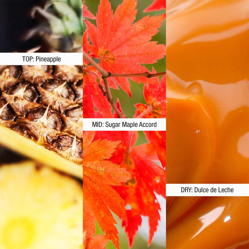 Shawn Mendes Signature Perfume Spray for Women & Men, 3.4 fl. oz. - Image 4