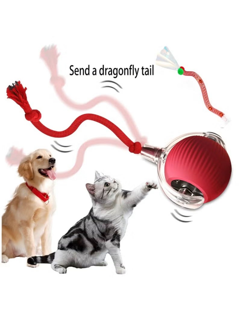 Gift for Pets, Electric Cat Ball Toy with Rope, Interactive Cat Teaser Toy, Automatic Rolling Ball Toy, Pet Supplies, Dog & Cat Accessories, Cat Toys - Image 1