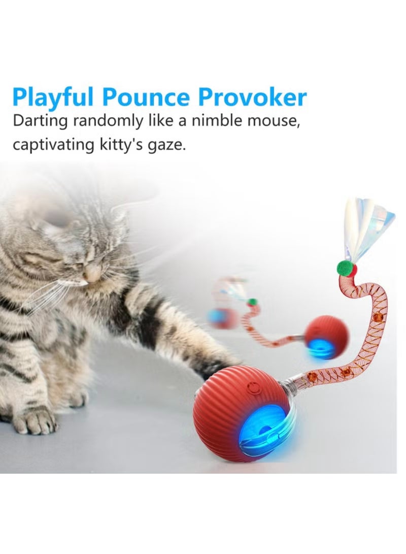 Gift for Pets, Electric Cat Ball Toy with Rope, Interactive Cat Teaser Toy, Automatic Rolling Ball Toy, Pet Supplies, Dog & Cat Accessories, Cat Toys - Image 2