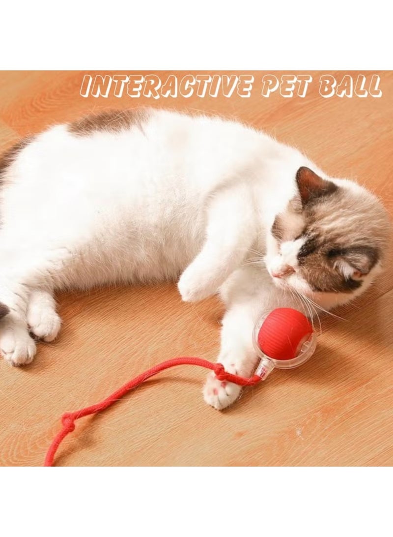 Gift for Pets, Electric Cat Ball Toy with Rope, Interactive Cat Teaser Toy, Automatic Rolling Ball Toy, Pet Supplies, Dog & Cat Accessories, Cat Toys - Image 4