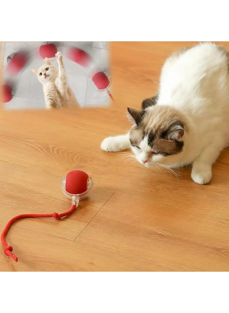 Gift for Pets, Electric Cat Ball Toy with Rope, Interactive Cat Teaser Toy, Automatic Rolling Ball Toy, Pet Supplies, Dog & Cat Accessories, Cat Toys - Image 5