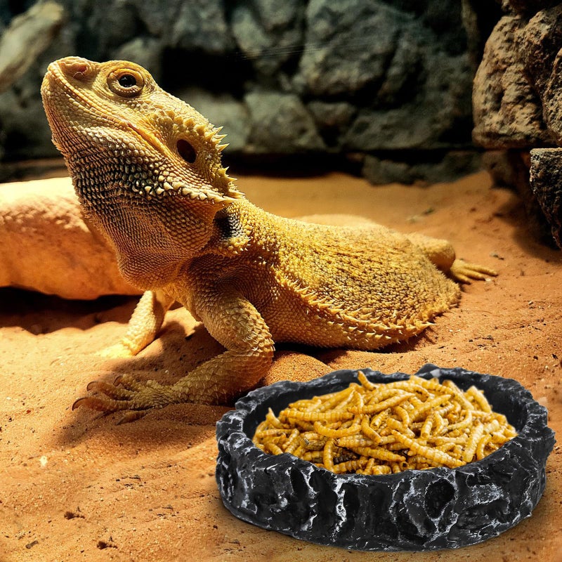 Frcctre 4 Pack Reptile Food Dish with Feeding Tongs, Resin Reptile Water Dish Food Bowl Feeding Terrarium Bowl for Leopard Gecko Lizard Tortoise Frog Bearded Dragon Chameleon - Image 5