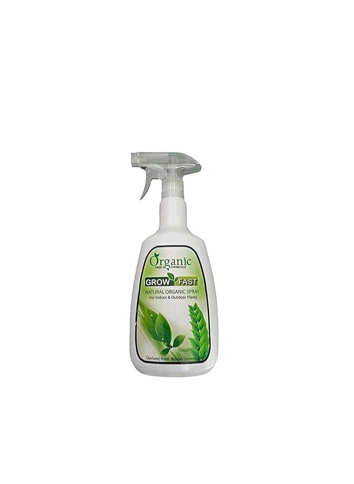 GROW FAST Grow Fast Natural Organic Spray is a Versatile Plant Care Solution Designed for Both Indoor and Outdoor Plants Packaged in an 860 ml Bottle Organic Spray Helps Maintain Plant Health by Providing Essential Nutrients and Protecting Against Common Plant Issues. - Image 1