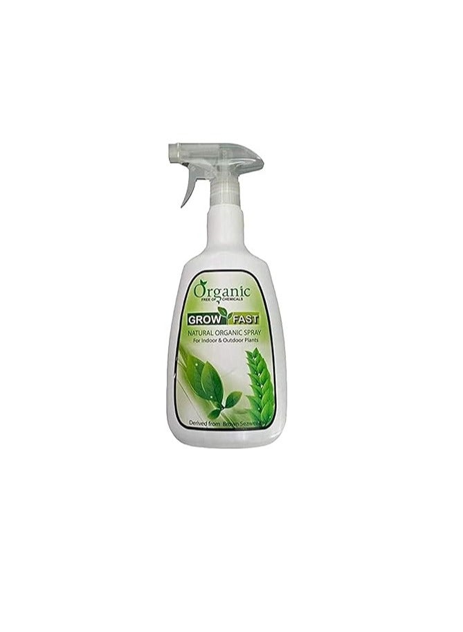 GROW FAST Grow Fast Natural Organic Spray is a Versatile Plant Care Solution Designed for Both Indoor and Outdoor Plants Packaged in an 860 ml Bottle Organic Spray Helps Maintain Plant Health by Providing Essential Nutrients and Protecting Against Common Plant Issues. - Image 2