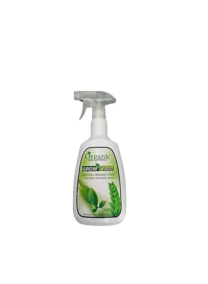 GROW FAST Grow Fast Natural Organic Spray is a Versatile Plant Care Solution Designed for Both Indoor and Outdoor Plants Packaged in an 860 ml Bottle Organic Spray Helps Maintain Plant Health by Providing Essential Nutrients and Protecting Against Common Plant Issues. - Image 3