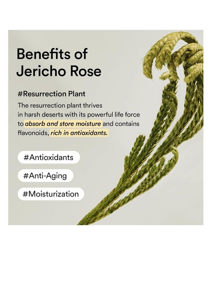 Abib Collagen Eye Patch Jericho Rose Jelly – Hydrating & Firming Under Eye Patches with Botanical Extracts – 60 Patches (30 Pairs) - Image 5