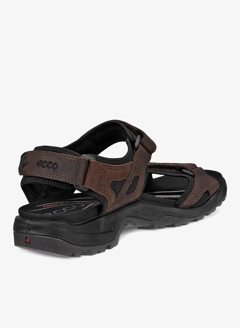 ECCO  ECCO Offroad Mocha Mocha for Men | Best Price UAE