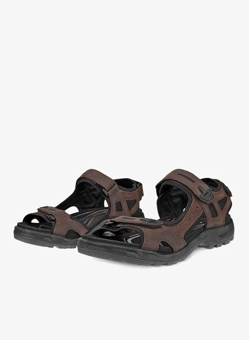 إيكو إيكو أوف رود موكا موكا