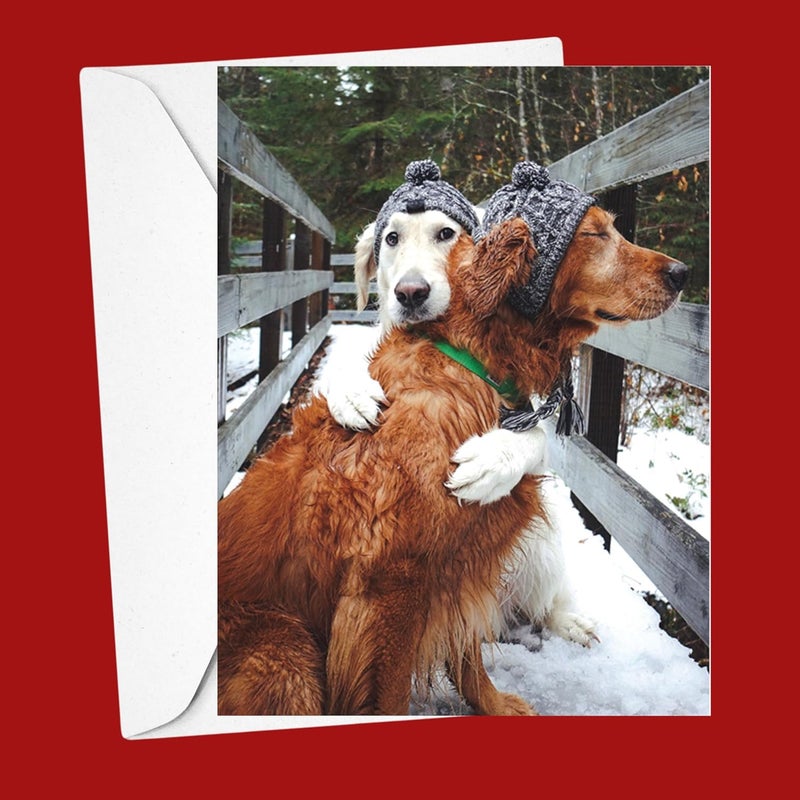Galison Puppy Love – Notecard Set Featuring Adorable Holiday Dogs 20 Cards And 21 Envelopes - Image 1