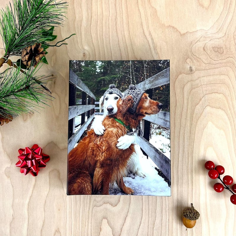 Galison Puppy Love – Notecard Set Featuring Adorable Holiday Dogs 20 Cards And 21 Envelopes - Image 3