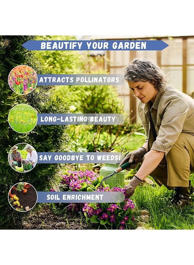 واي جيه بذور للزراعة، 100 حبة لكل كيس، بذور الياسمين للديكور المنسي العطر، أزهار بيضاء عطرية لحديقتك - بذور الياسمين العربي - Image 5