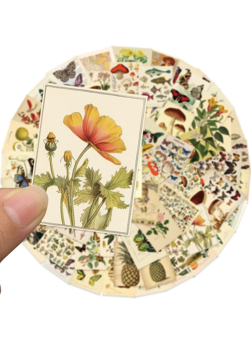 ملصقات نباتية عتيقة على شكل فراشة 100 قطعة ملصقات زهور نباتية لطيفة لأجهزة الكمبيوتر المحمول والتزلج وزجاجة الماء والدفتر والسيارات والهاتف والأمتعة والغيتار وملصقات ريترو مقاومة للماء للمراهقين والبنات والأولاد - Image 2