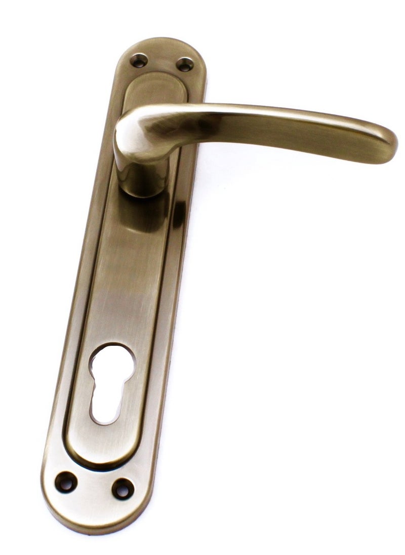 Siag Siag Cylinder Door Handle 