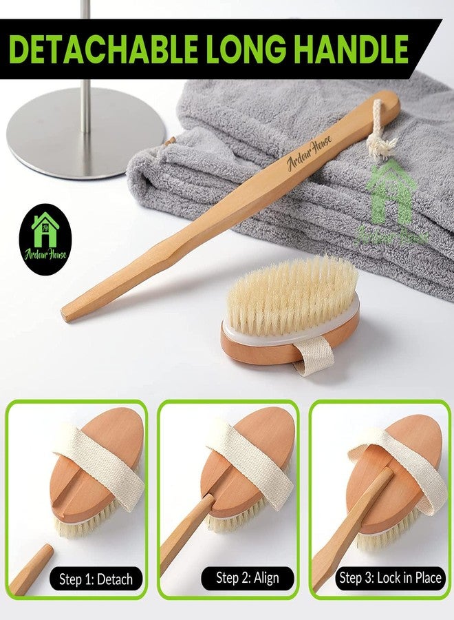 Ardour House Wooden Bath Brush with Detachable Long Handle - Soft & Firm Bristles for Wet & Dry Exfoliation, Lymphatic Massage & Cellulite Care - Deep Cleansing Body Scrubber for Men & Women - Image 4