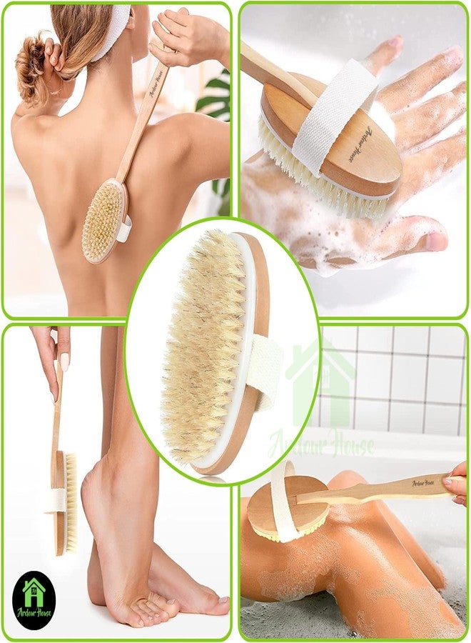 Ardour House Wooden Bath Brush with Detachable Long Handle - Soft & Firm Bristles for Wet & Dry Exfoliation, Lymphatic Massage & Cellulite Care - Deep Cleansing Body Scrubber for Men & Women - Image 5