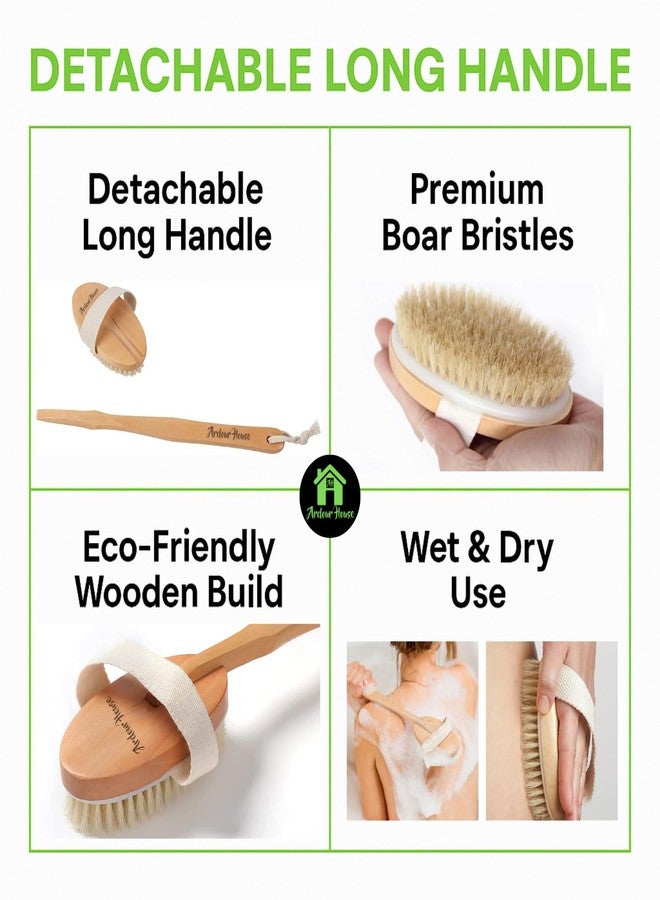 Ardour House Wooden Bath Brush with Detachable Long Handle - Soft & Firm Bristles for Wet & Dry Exfoliation, Lymphatic Massage & Cellulite Care - Deep Cleansing Body Scrubber for Men & Women - Image 2