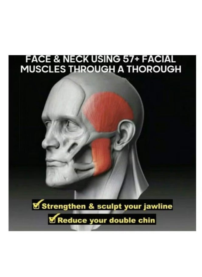 Generic Jaw Exercise Ball 3x2.5x2.5cm  - Image 2