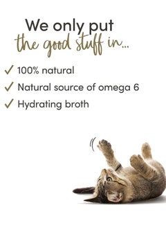 Applaws 12Pc Natural Tuna Kitten Wet Food 70g  - Image 4