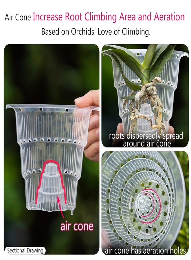 Meshpot 4 inch Clear Orchid Pots with Holes and Saucers for Repotting,Pack of 4,Small Plastic Orchid Planters Provide Good Air Circulation,Nursery Pots for Succulents,Herbs,Aloes,Mint - Image 4