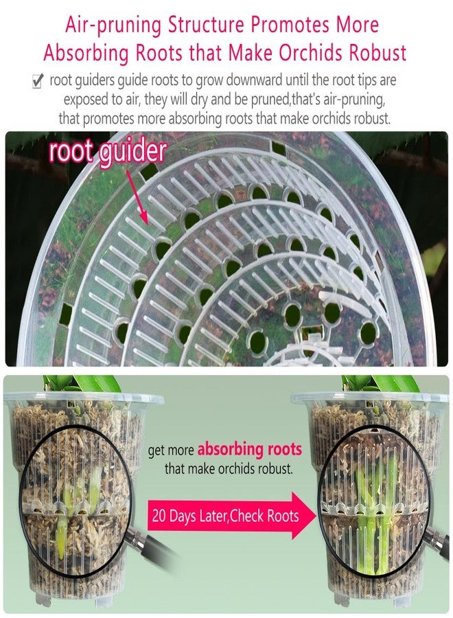 Meshpot 4 inch Clear Orchid Pots with Holes and Saucers for Repotting,Pack of 4,Small Plastic Orchid Planters Provide Good Air Circulation,Nursery Pots for Succulents,Herbs,Aloes,Mint - Image 3