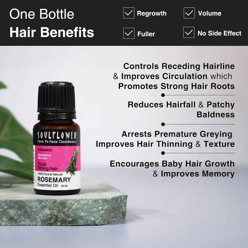 Soulflower Soulflower Rosemary Water Hair Spray with Mint 100 ml Rosemary Essential Oil 10 ml For Hair Growth Hair Fall Control Hair Damage Protection Anti Frizz  Hair Care Combo for Men  Women - Image 2
