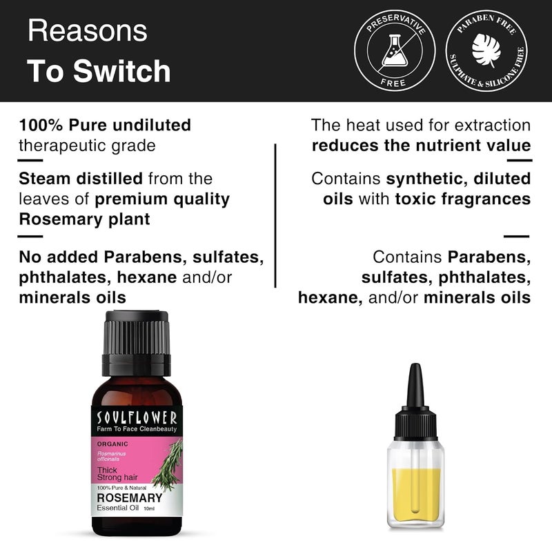 Soulflower Soulflower Rosemary Water Hair Spray with Mint 100 ml Rosemary Essential Oil 10 ml For Hair Growth Hair Fall Control Hair Damage Protection Anti Frizz  Hair Care Combo for Men  Women - Image 4