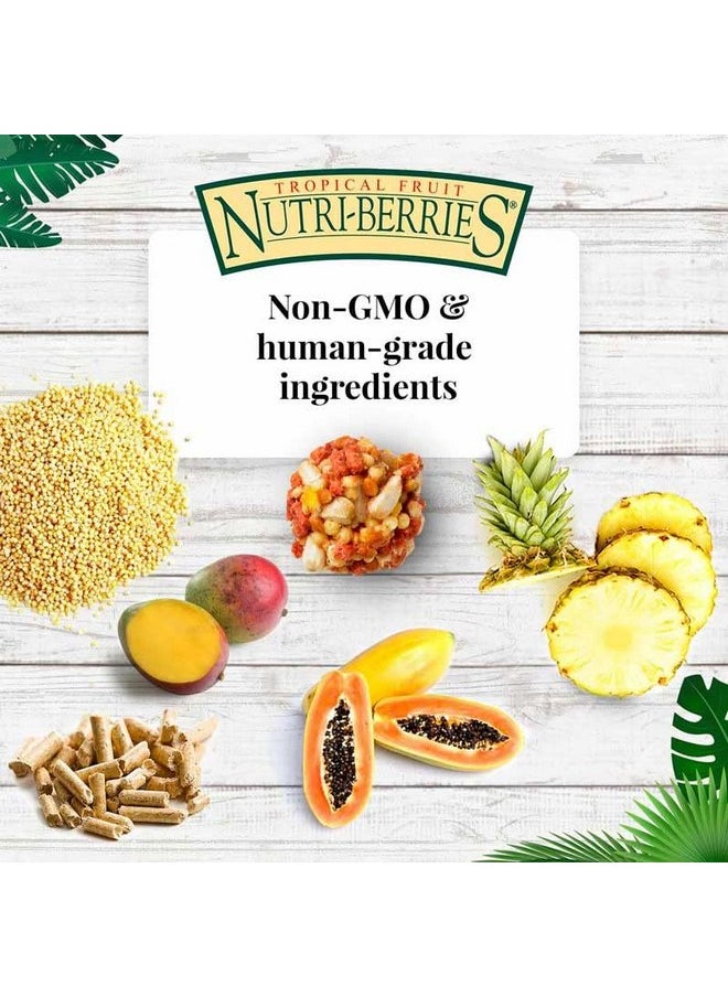 لافيبيرز طعام الطيور الأليفة LAFEBER'S Tropical Fruit Nutri-Berries، مصنوع من مكونات غير معدلة وراثيًا ومناسبة للبشر، للببغاوات والببغاوات، 10 أونصة  - Image 5