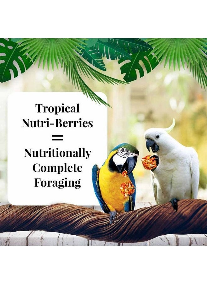 لافيبيرز طعام الطيور الأليفة LAFEBER'S Tropical Fruit Nutri-Berries، مصنوع من مكونات غير معدلة وراثيًا ومناسبة للبشر، للببغاوات والببغاوات، 10 أونصة  - Image 2