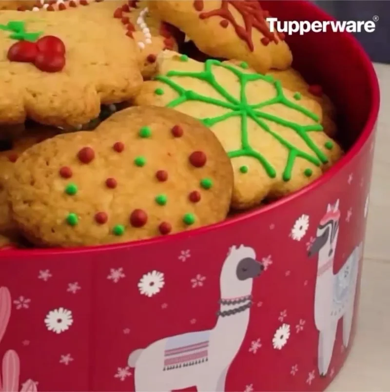 Tupperware Hsgl Single Finger Cookie Box (Red)