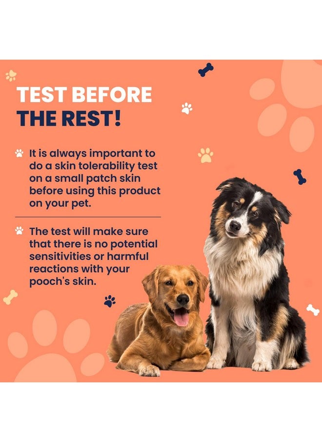 Naturasil - AllNatural Dog Warts Remover By Naturasil  Pure Thuja & Plant Extracts For Topical Wart & Skin Blemish Remover On Pets | FastActing, Gentle & PainFree | No Acids | Safe For Dogs 3+ Months | 15Ml - Image 1